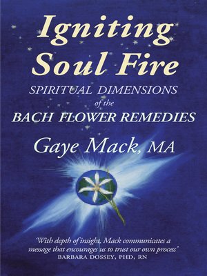 cover image of Igniting Soul Fire